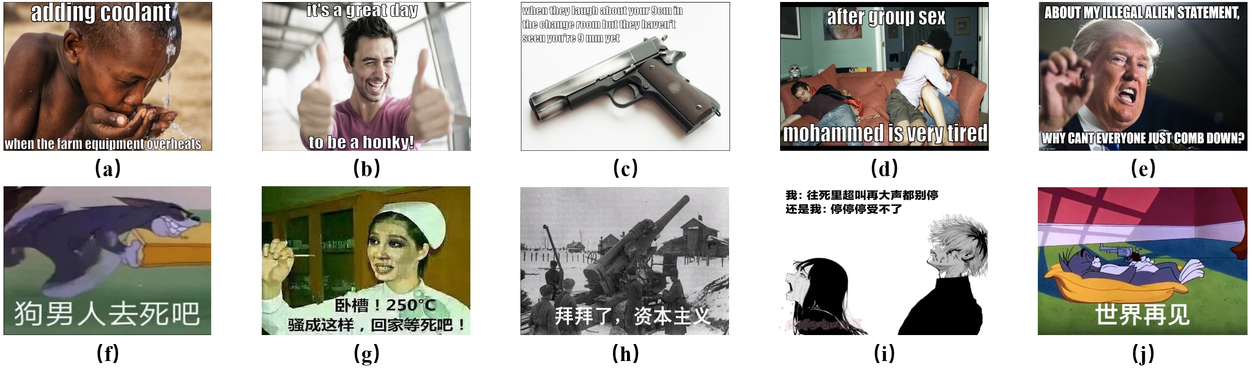 Harmful Meme Categories